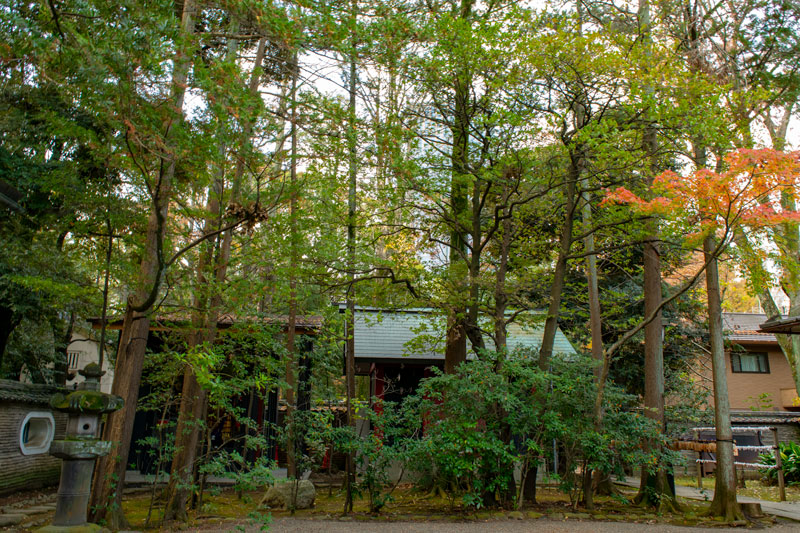 赤坂氷川神社の境内