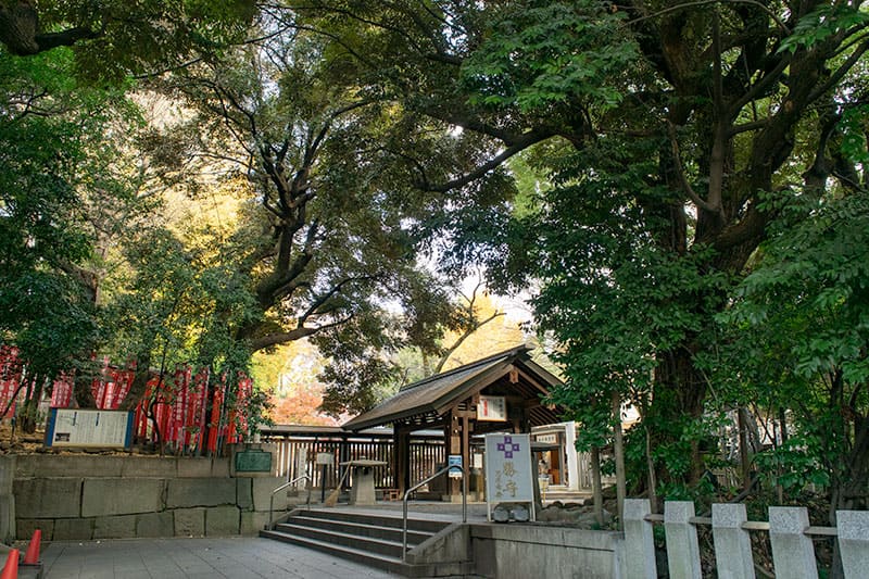 乃木神社参道