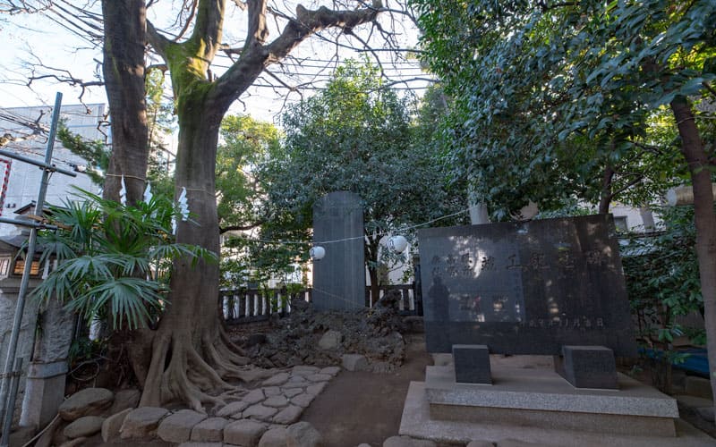 神明氷川神社の御神木