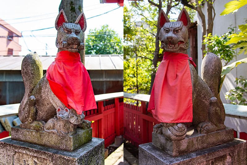 新井天神北野神社 稲荷神社の狐