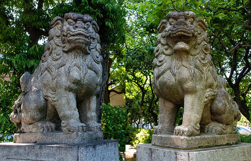 新井天神北野神社 鳥居の狛犬