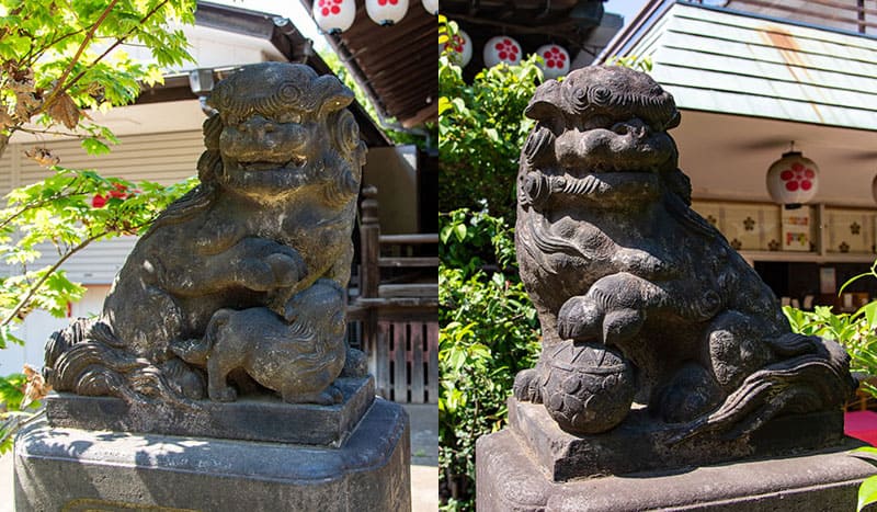 新井天神北野神社 拝殿の狛犬
