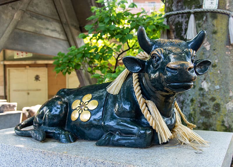 新井天神北野神社の撫牛