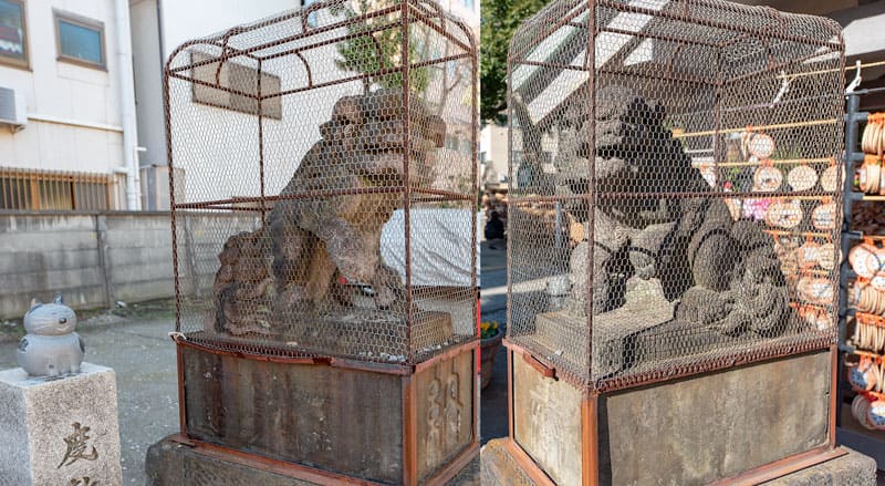 今戸神社の狛犬