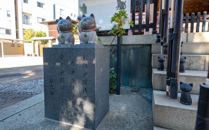 今戸神社の招き猫