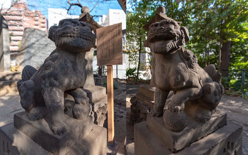 金王八幡宮の金王丸御影堂の狛犬