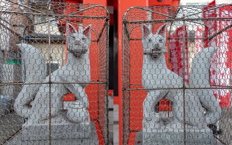 元徳稲荷神社の狐