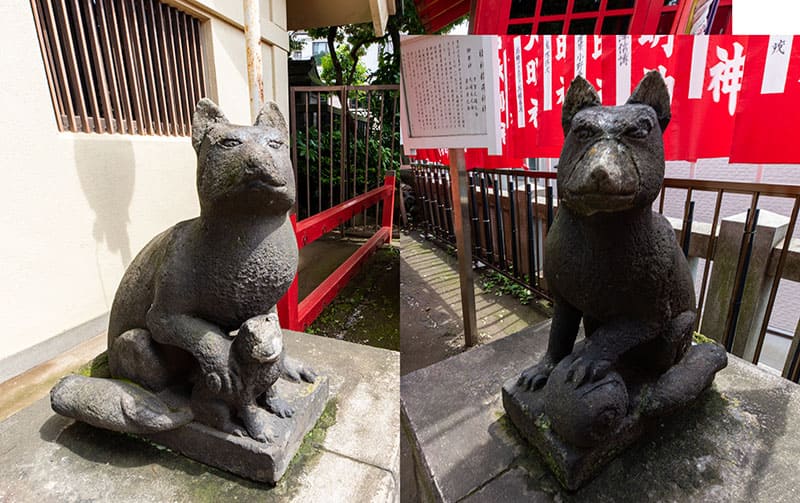 吾嬬神社 福神稲荷神社の狐