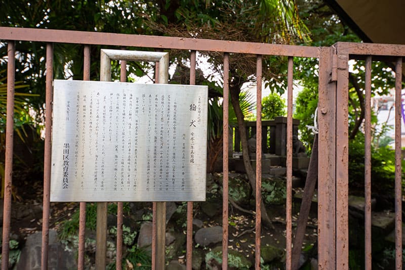 吾嬬神社狛犬