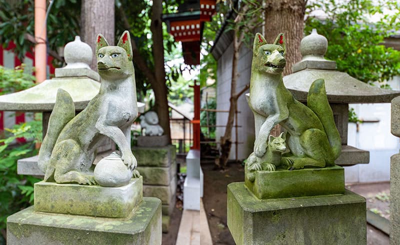 江東天祖神社 太郎稲荷神社の狐