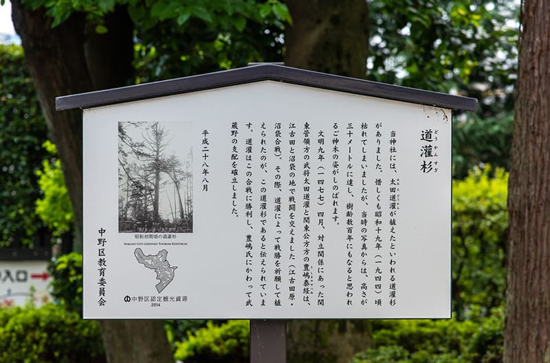 沼袋氷川神社　道灌杉案内