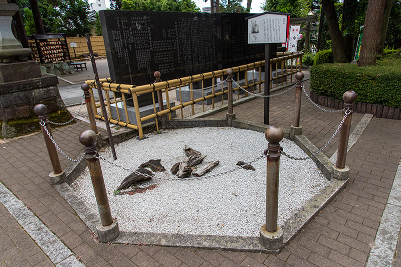 沼袋氷川神社　道灌杉