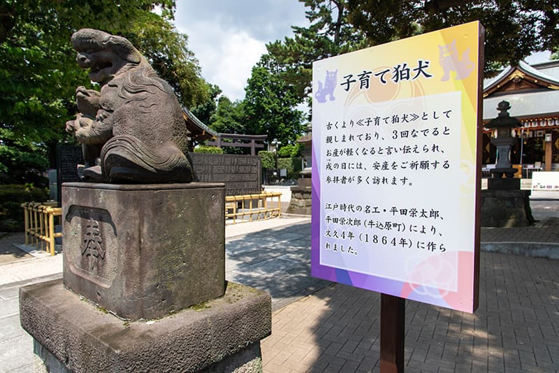 沼袋氷川神社　子育て狛犬