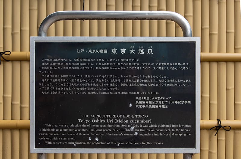 沼袋氷川神社　大越瓜案内