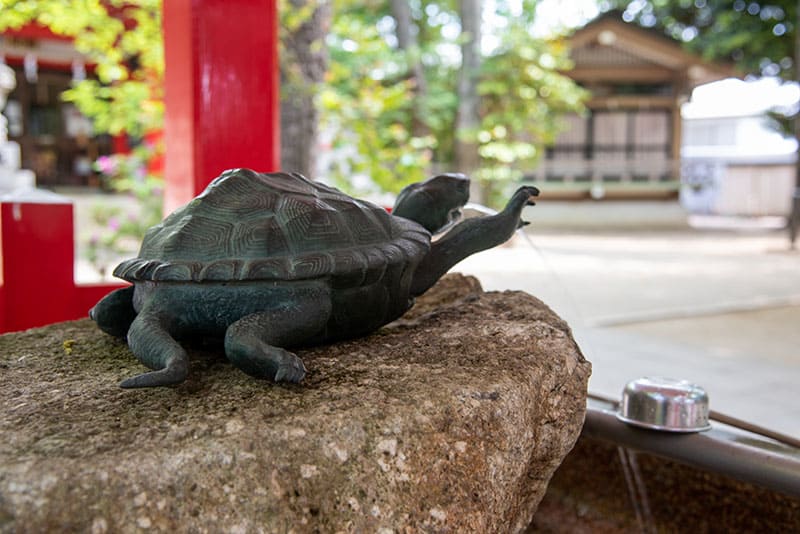 六所神社の手水舎の亀2