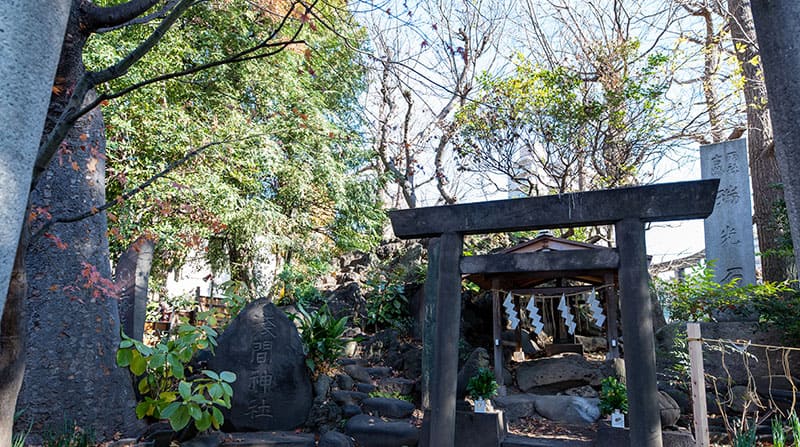 素盞雄神社 浅間神社