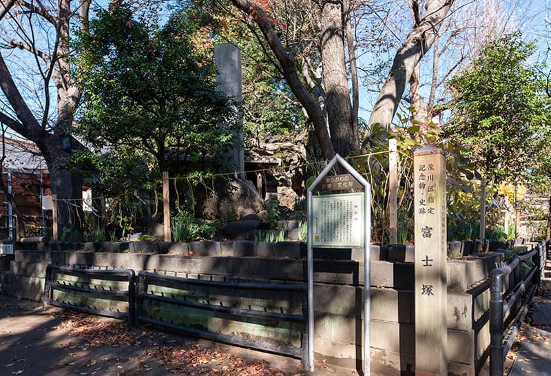 素盞雄神社　富士塚