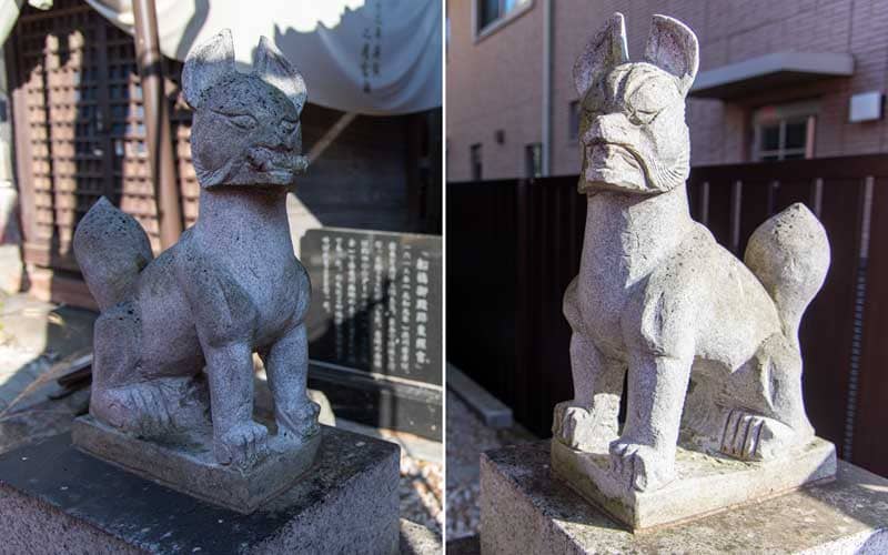 船橋東照宮 御殿稲荷神社 拝殿前狐