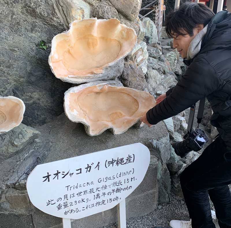 二見興玉神社 オオシャコガイ