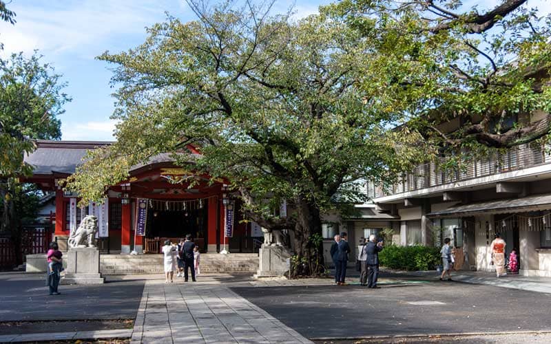 旗岡八幡神社　境内