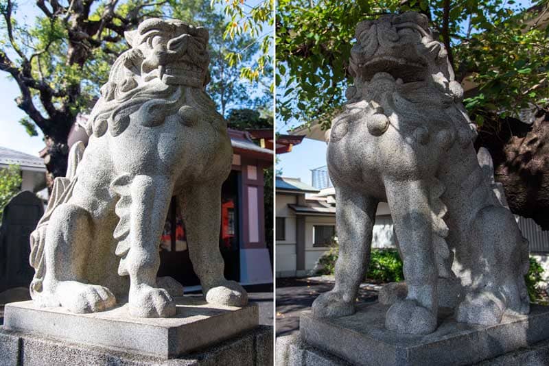旗岡八幡神社　拝殿前狛犬