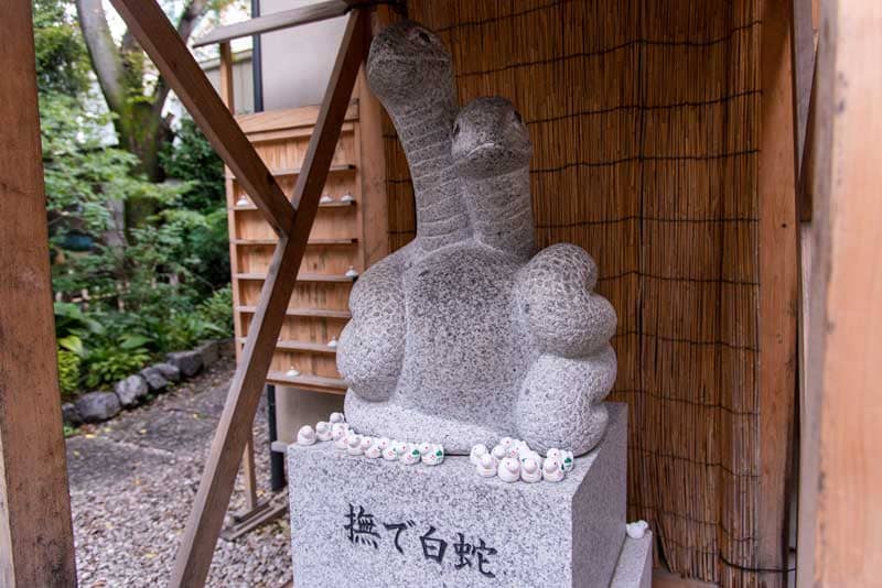 蛇窪神社　天祖神社　撫で白蛇