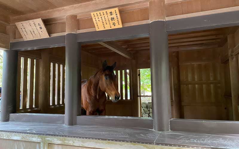伊勢神宮内宮 神馬 草新号