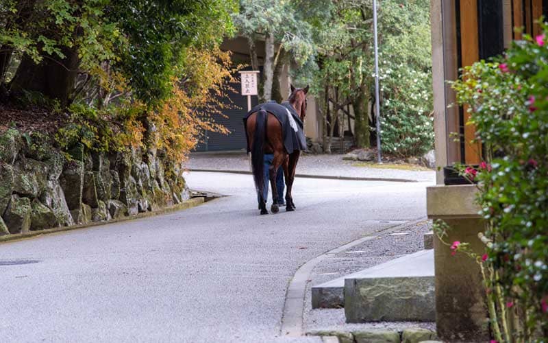 伊勢神宮内宮 神馬