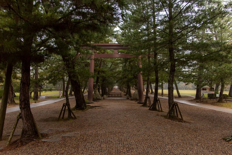 出雲大社　松の参道の鳥居