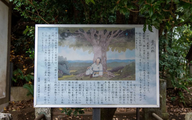 清瀬市 日枝神社 清戸の柊