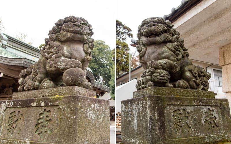 清瀬市 日枝神社 水天宮狛犬