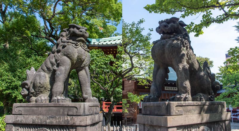 根津神社　狛犬