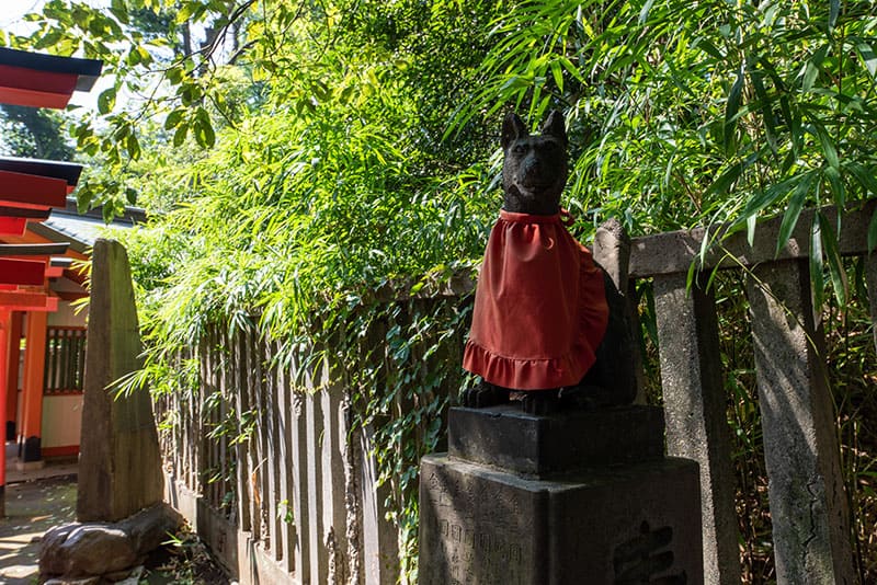根津神社　乙女稲荷神社　きつね