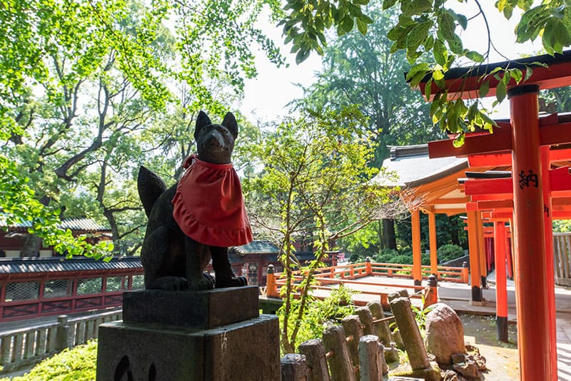 根津神社　乙女稲荷神社　きつね
