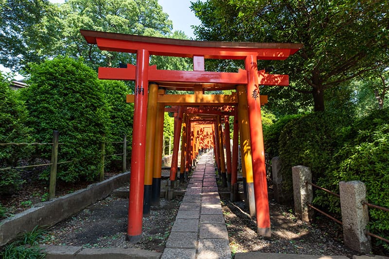根津神社　乙女稲荷神社千本鳥居