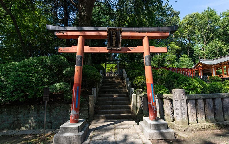 根津神社　乙女稲荷神社鳥居真ん中