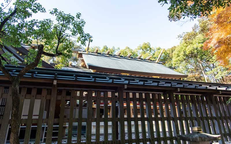 猿田彦神社　拝殿裏