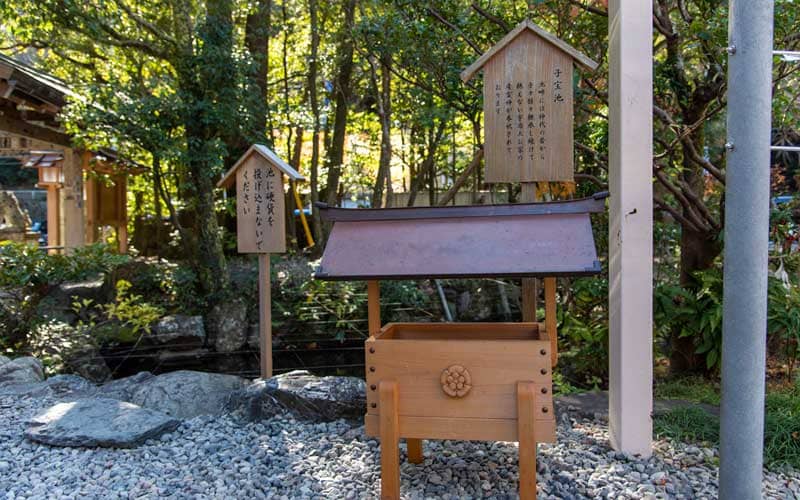 猿田彦神社　子宝池