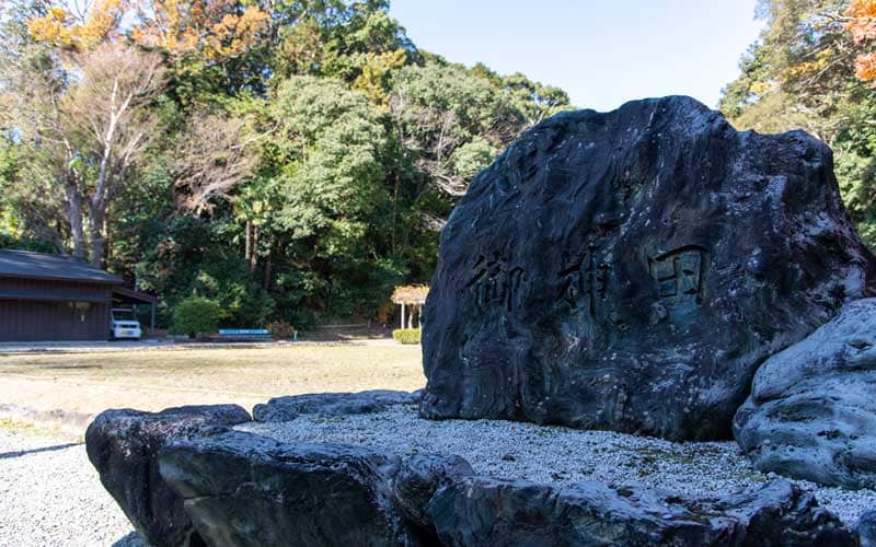 猿田彦神社　御神田