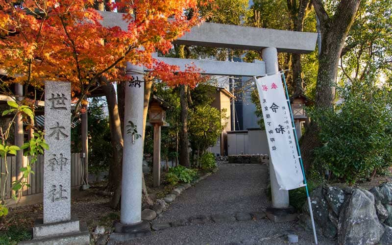 世木神社　鳥居