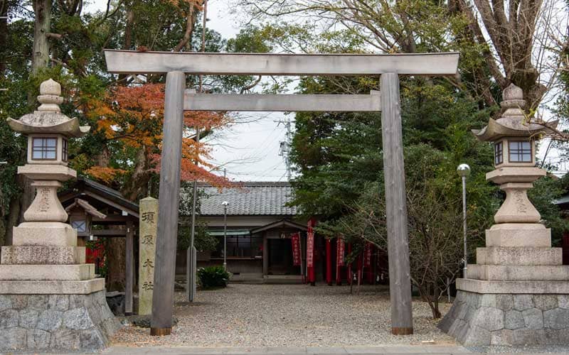 須原大社　鳥居