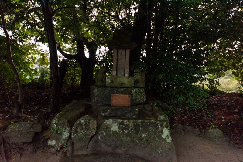 八重垣神社　五柱