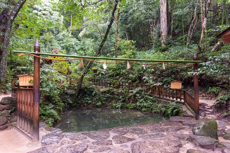 八重垣神社　鏡の池