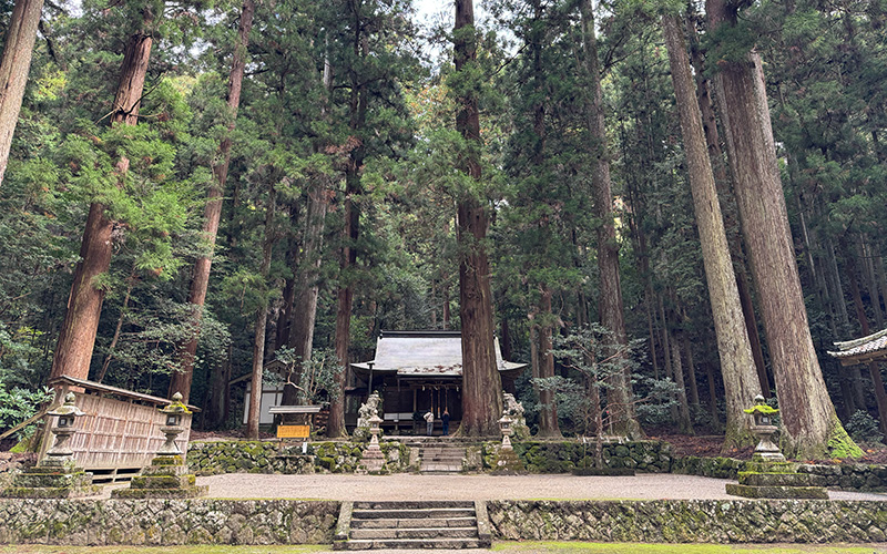 龍穴神社　境内