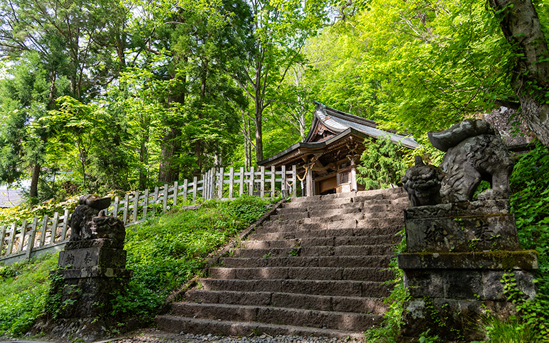 戸隠神社九頭龍社 狛犬